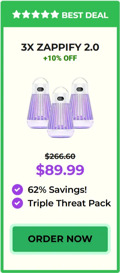 Zappify offer package price 